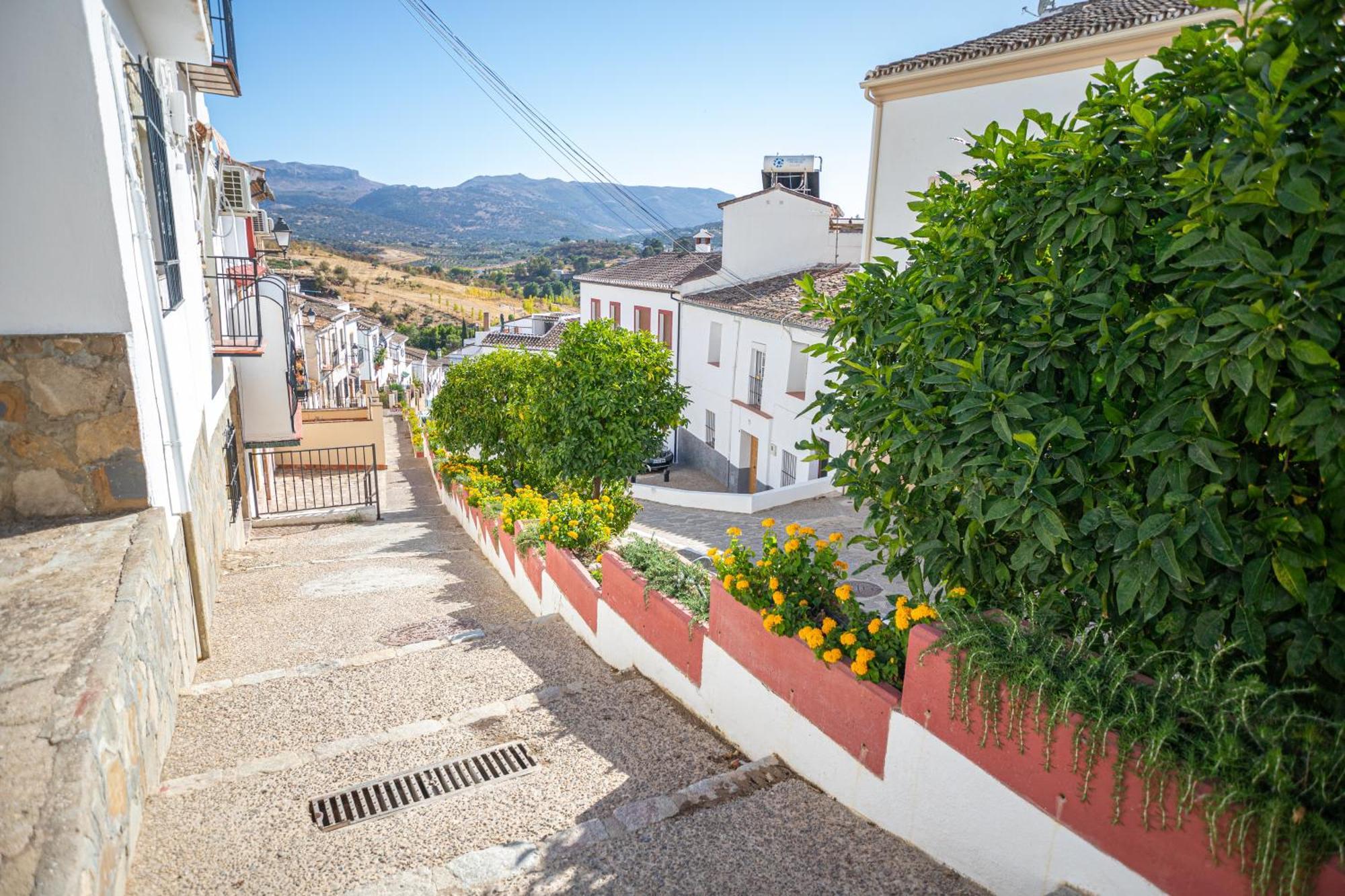 The Pava's House Appartement Ronda
